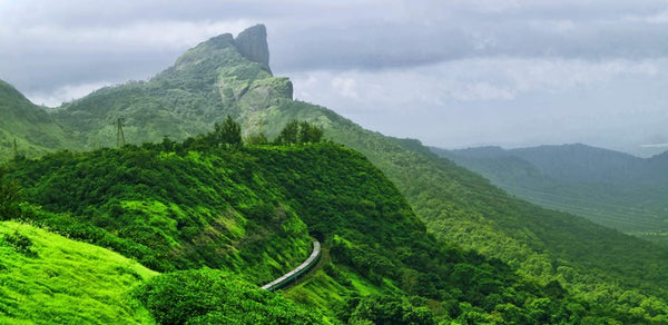 Lonavala Monsoon Escape 2D/1N