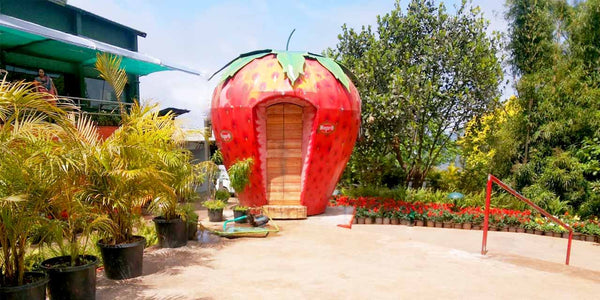 Mahabaleshwar Strawberry Trails Retreat 3D/2N